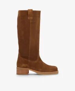 CAMERON LONG S - Nøddebrun ruskind - Lang støvle Dame