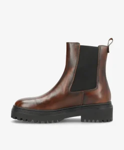 CASABLANCA - Dame Chelsea støvle - Mørkebrun læder