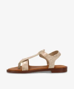 EVITA - Sandal - Beige croco