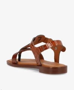 EVITA - Sandal - Brun Croco